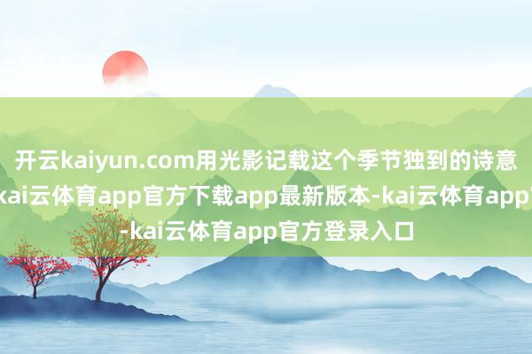 开云kaiyun.com用光影记载这个季节独到的诗意与好意思好-kai云体育app官方下载app最新版本-kai云体育app官方登录入口