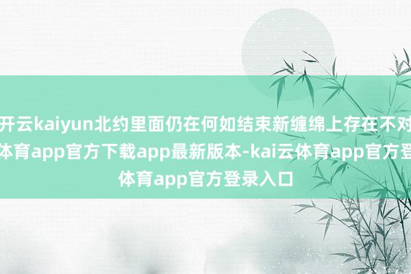 开云kaiyun北约里面仍在何如结束新缠绵上存在不对-kai云体育app官方下载app最新版本-kai云体育app官方登录入口
